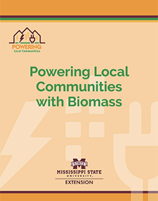 Front Cover of Powering Local Communities with Biomass